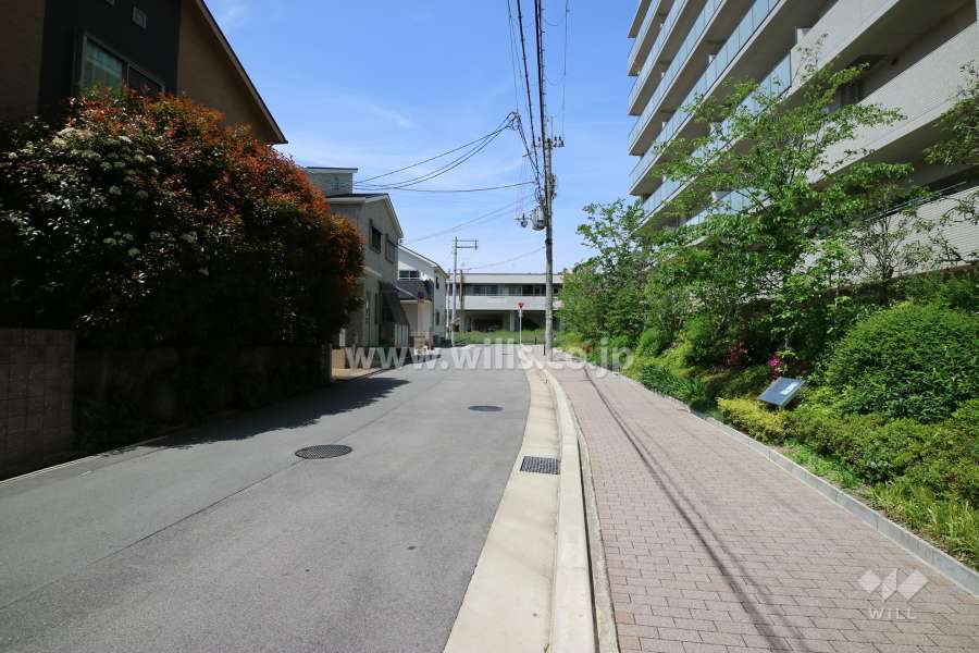 敷地西側前面道路(西側から)
