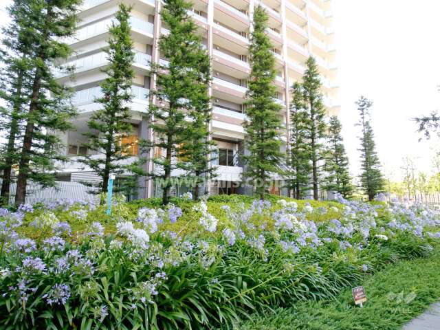 エントランス前の植栽スペース