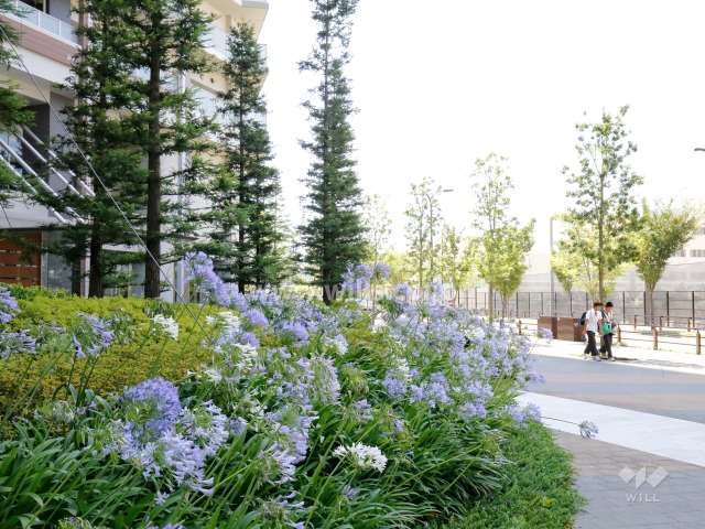 植栽スペースの花