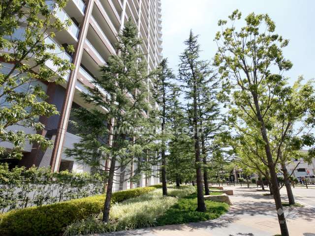 敷地南西側のオープンスペース