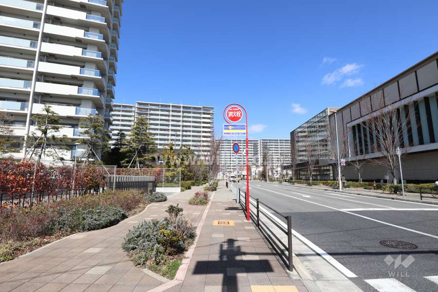 敷地東側の前面道路(南側から)
