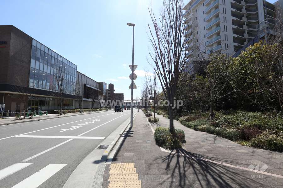 敷地東側の前面道路(北側から)