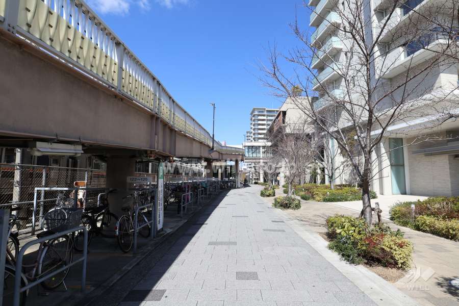 敷地西側の前面道路(南側から)