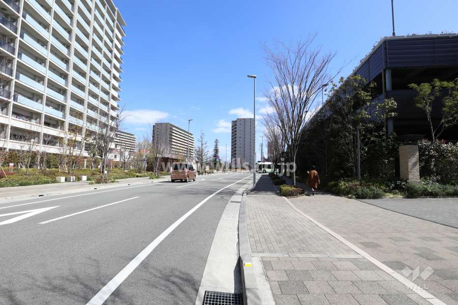 敷地北側の前面道路(西側から)