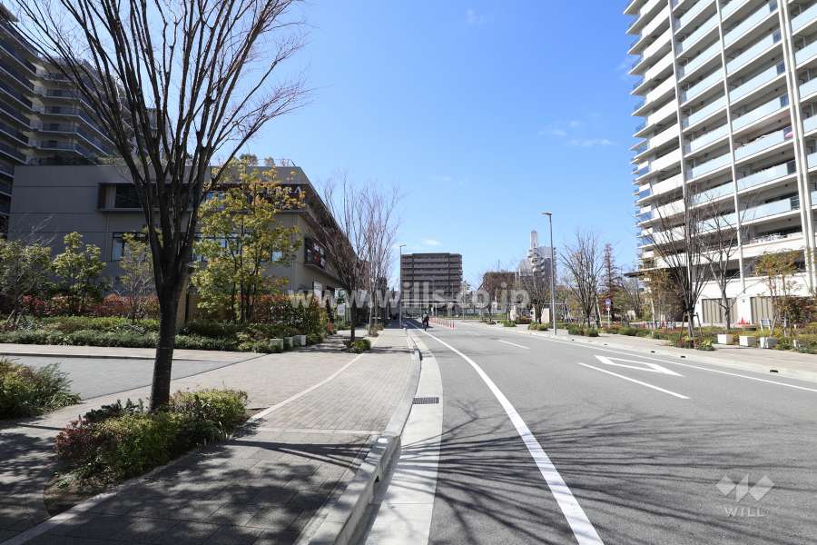 敷地北側の前面道路(東側から)