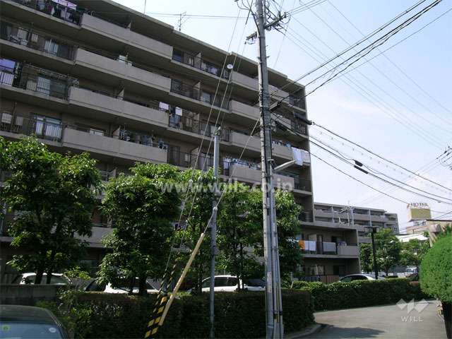 外観（東側から見る）