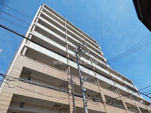 外壁はやわらかな色調のタイル張り