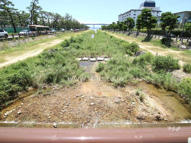 道路を挟んで芦屋川が流れております。