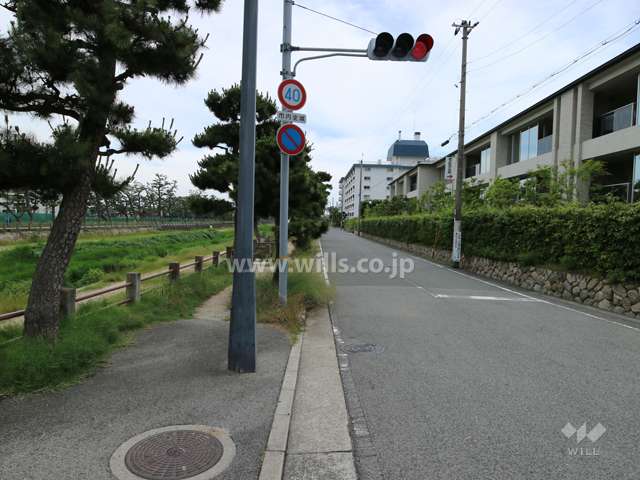 東側前面道路と芦屋川