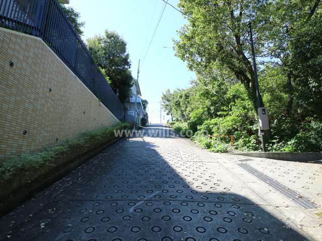 敷地西側の前面道路（北側から）