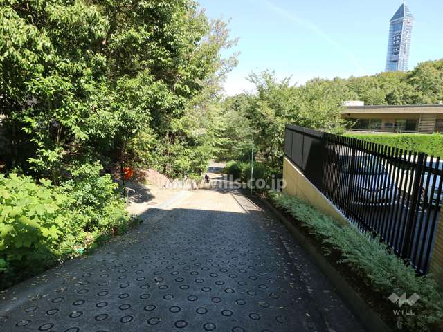 敷地西側の前面道路（南側から）