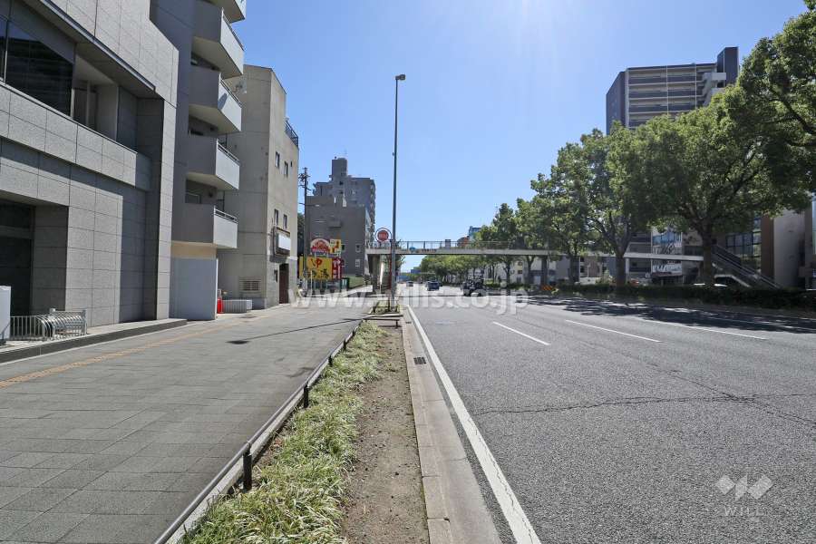 敷地西側の前面道路（北側から）