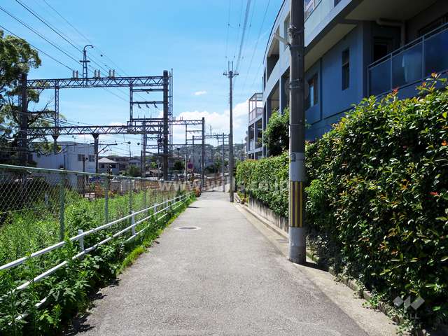 敷地南側の前面道路。