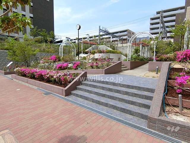 敷地西側は公開空地となっており、植栽スペースが設けられています。