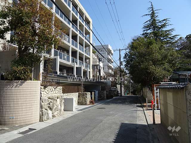 敷地南側の前面道路（西側から）