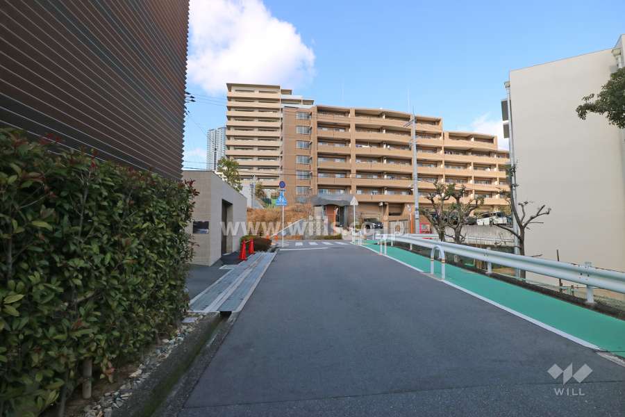 敷地東側の前面道路