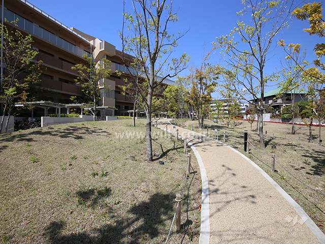 G棟の北側の公園