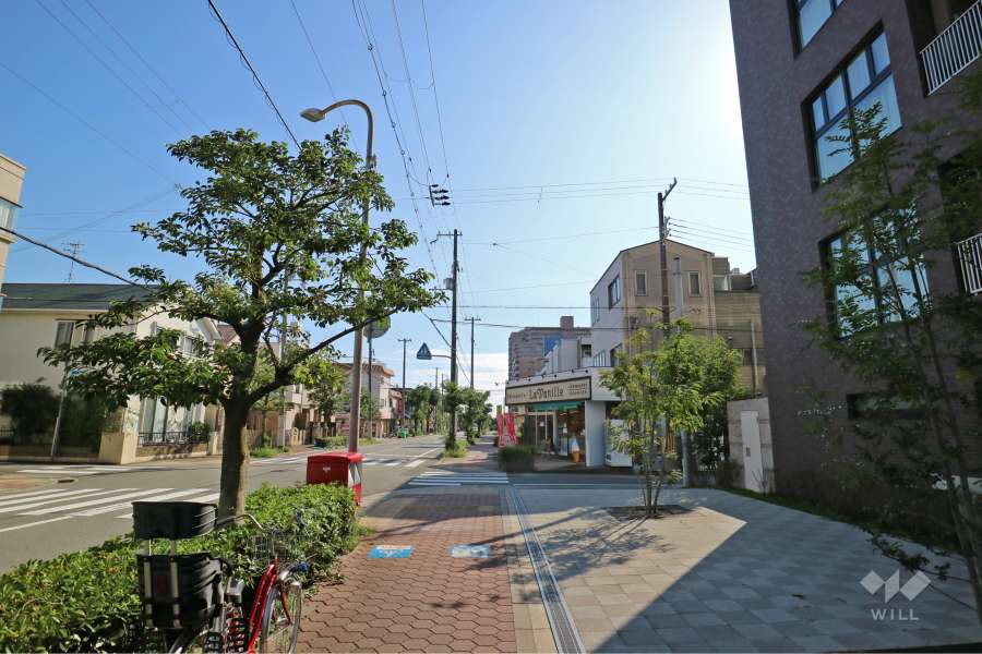 敷地南東側の前面道路（北東側から）