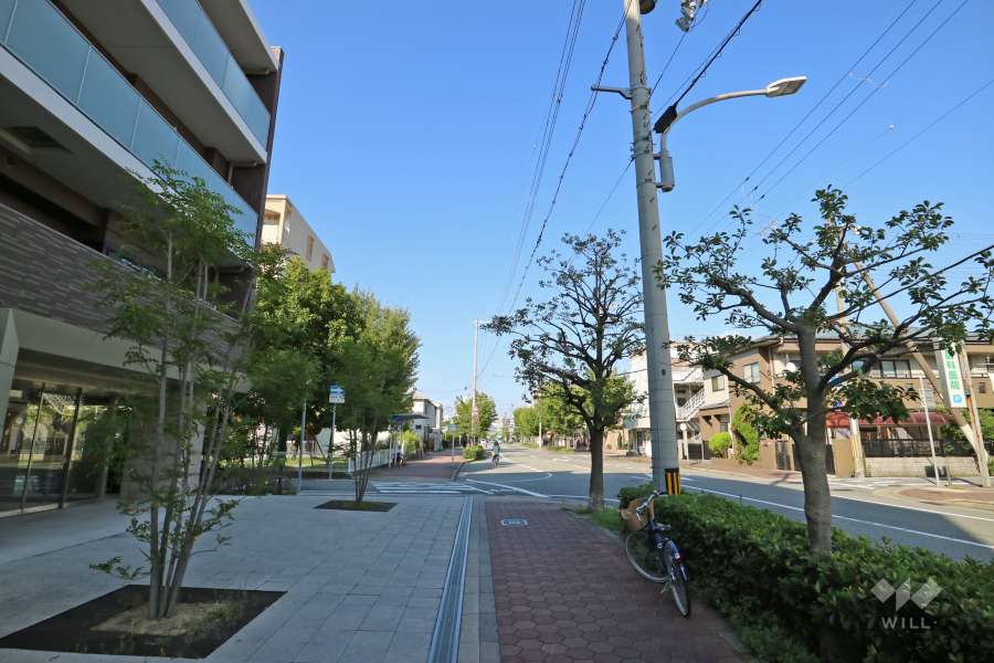 敷地南東側の前面道路（南西側から）