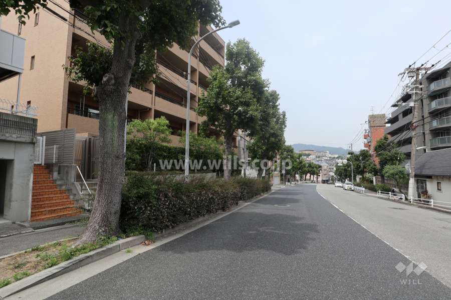 敷地の南側前面道路（西側から）