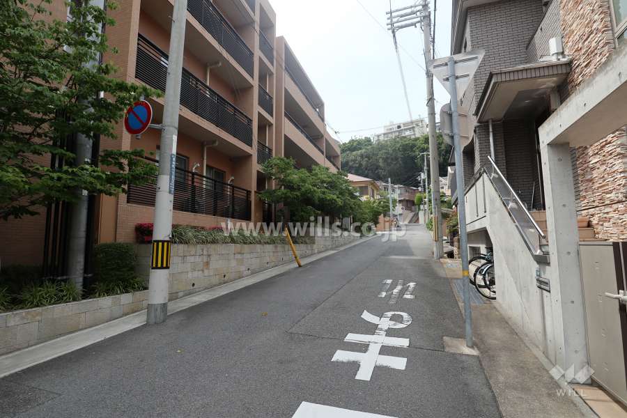 敷地の東側前面道路（南側から）