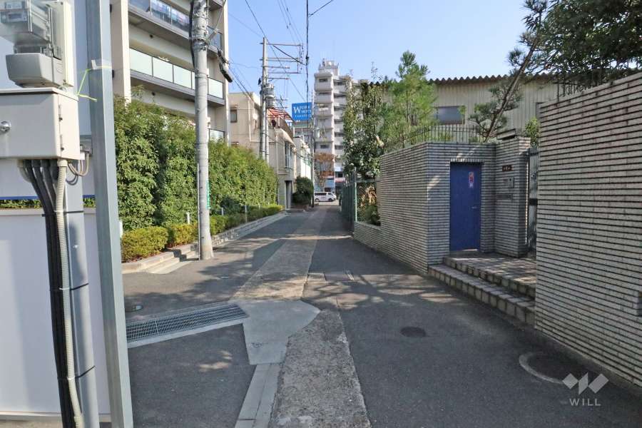 敷地南側の前面道路（西側から）