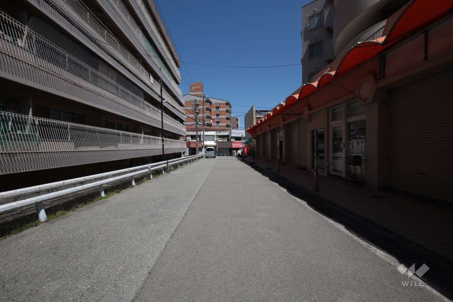 敷地南側の前面道路（西側から）