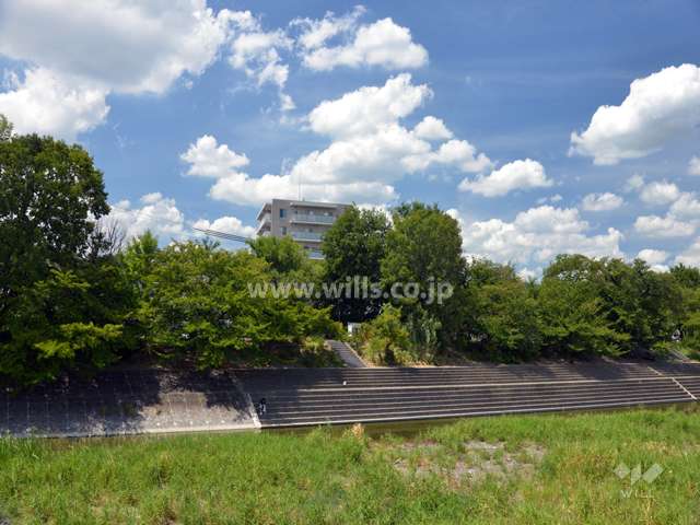 近くに隣接する公園