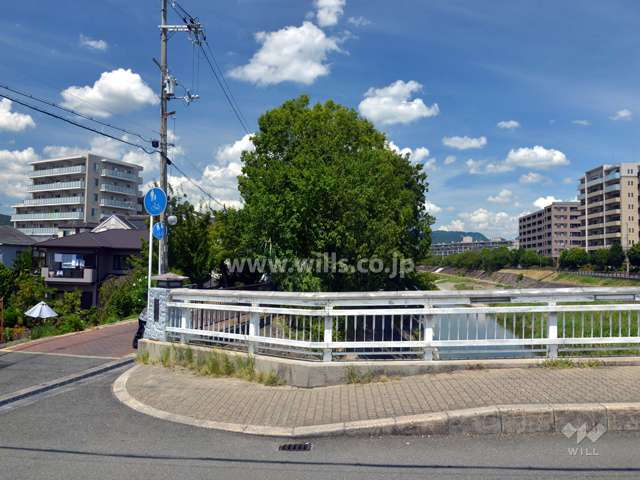 周囲に隣接する桜並木と芥川