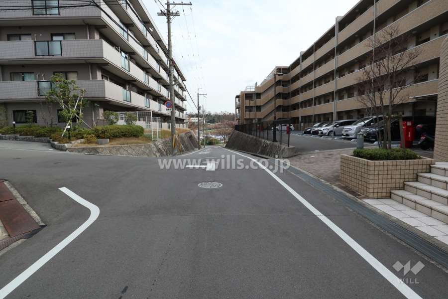 敷地北側の前面道路（西側から）