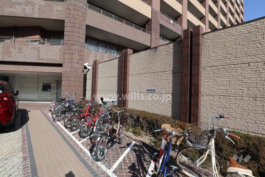 来客用駐輪スペース