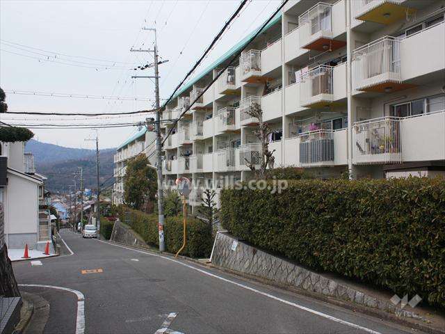 敷地南側の前面道路