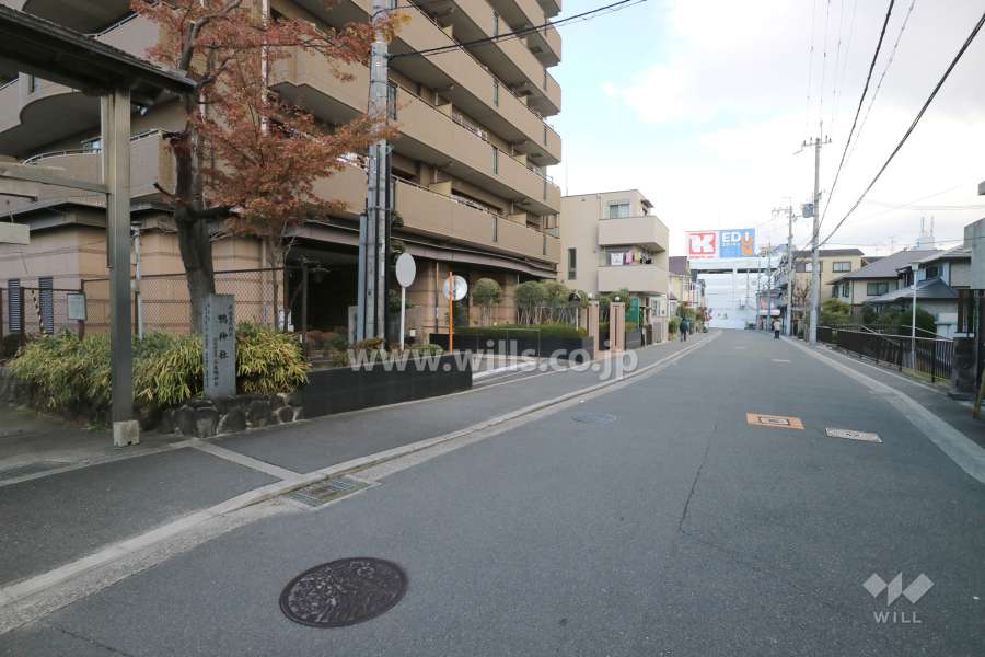 敷地南側の前面道路