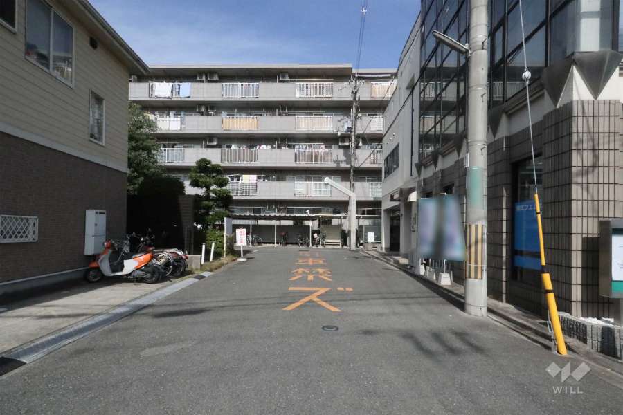 敷地南側の前面道路（南側から）