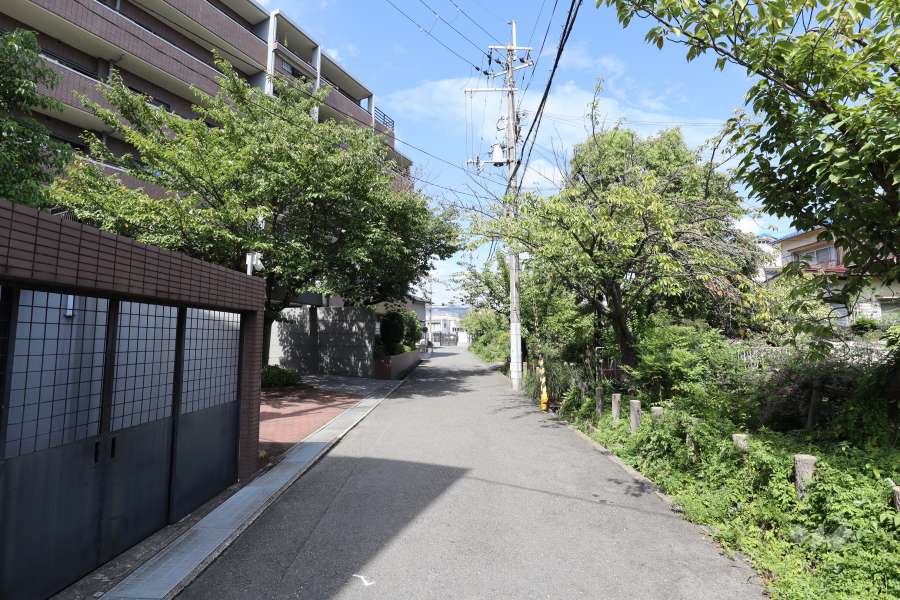 敷地東側の前面道路（北方向）