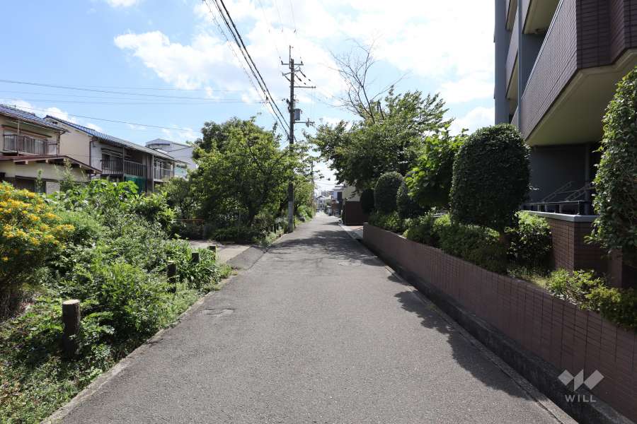 敷地東側の前面道路（南方向）