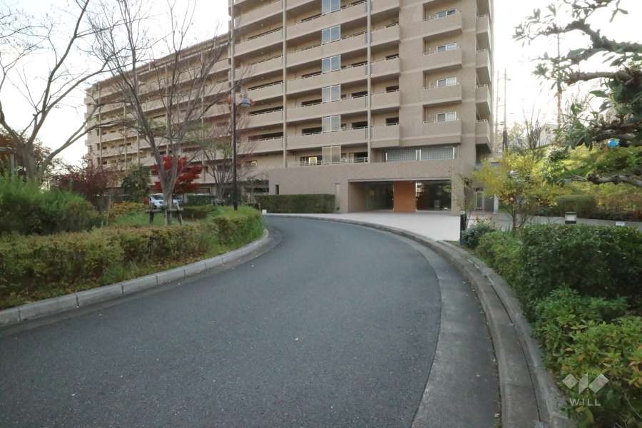 敷地北東側の前面道路（北東側から）