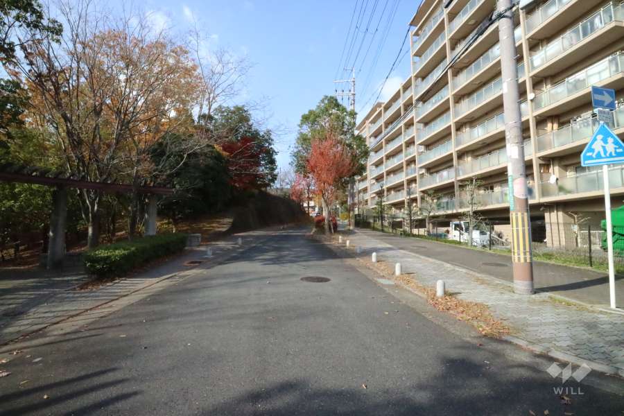 敷地南西側の前面道路