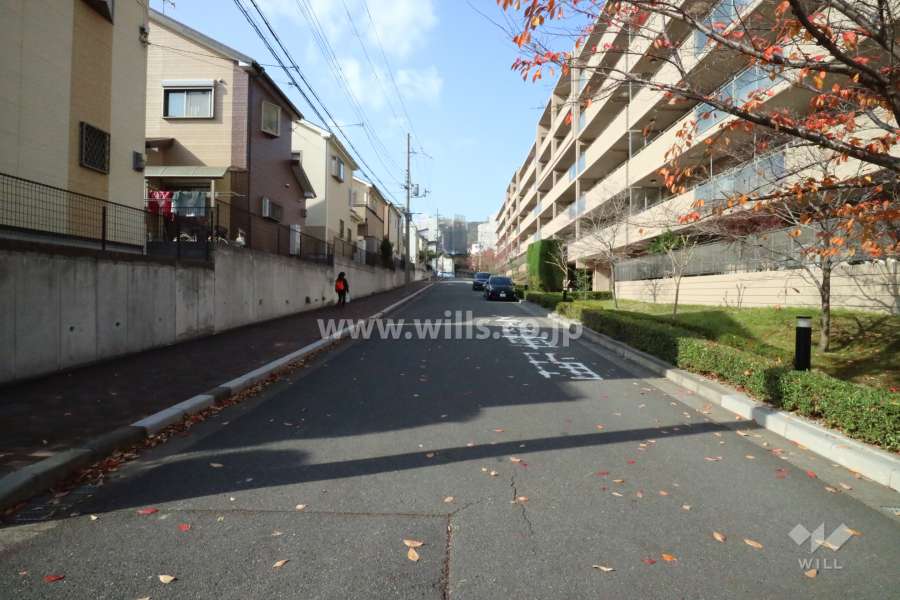 敷地南西側の前面道路