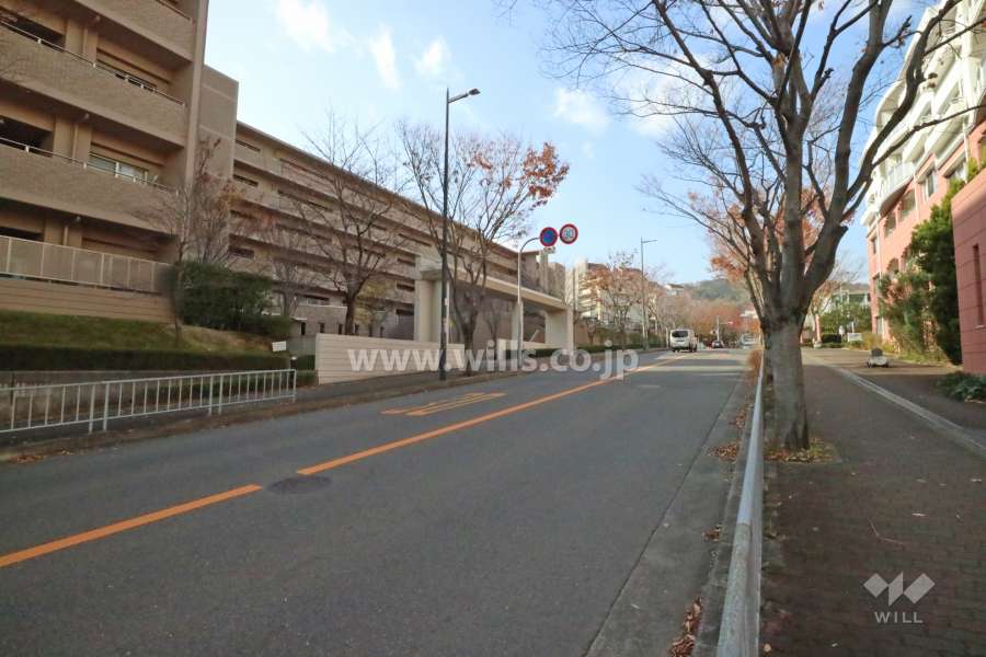 敷地東側の前面道路。二車線のバス通りです。