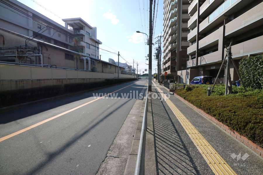 敷地南側の前面道路