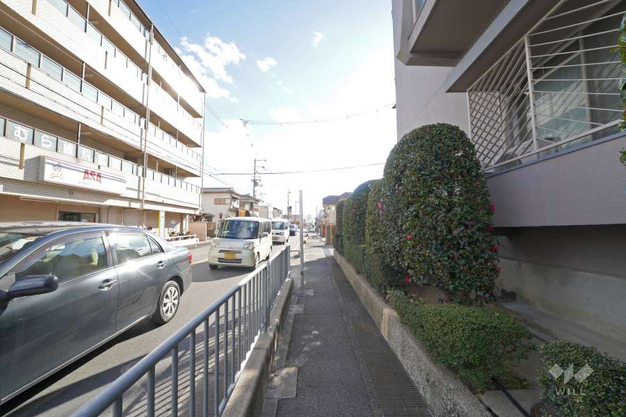 敷地の東側前面道路(北側から)