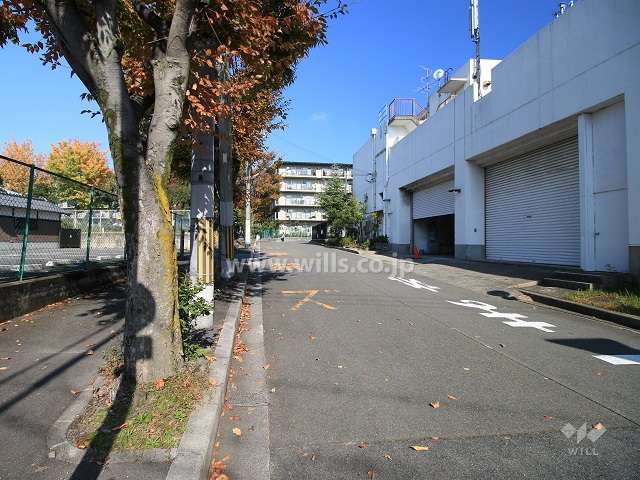 敷地南側の前面道路（南側から）