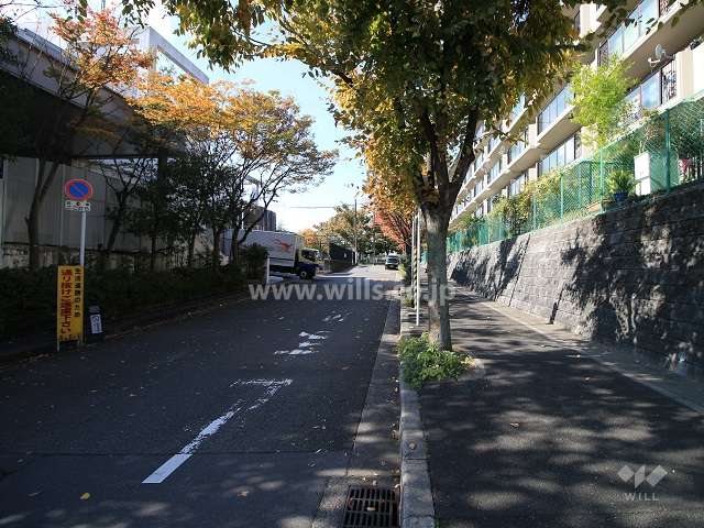 敷地南側の前面道路（東側から）