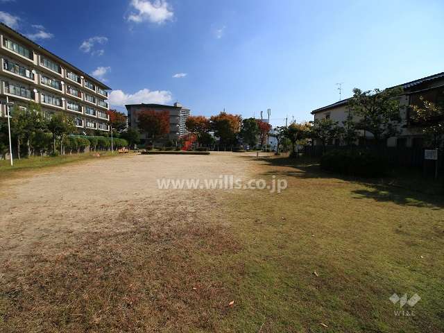 敷地に隣接する公園(西側から）