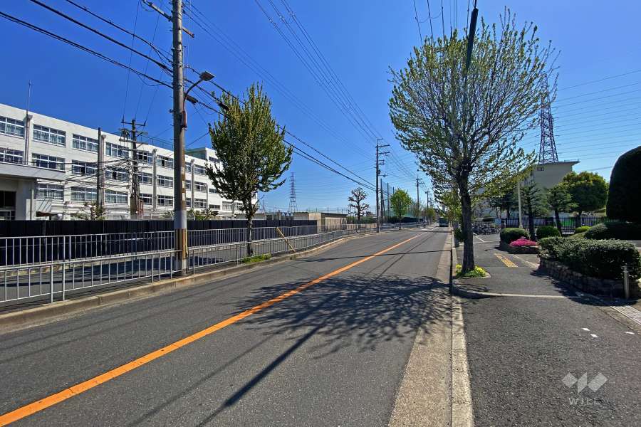 敷地北側の前面道路（西側から）