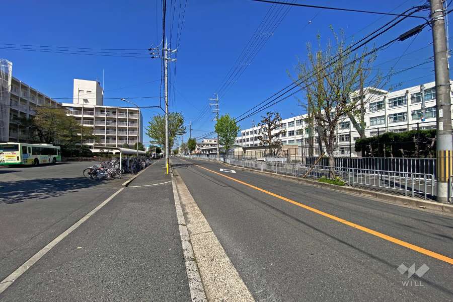 敷地北側の前面道路（東側から）