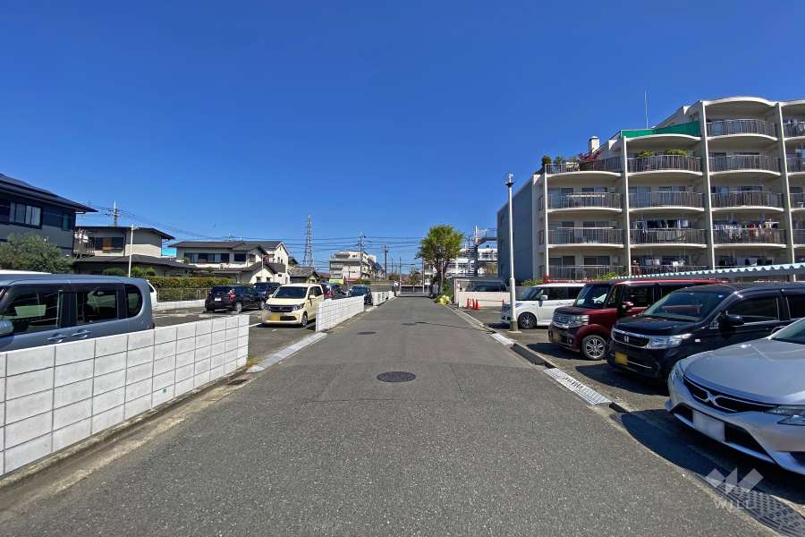 敷地西側の前面道路（南側から）