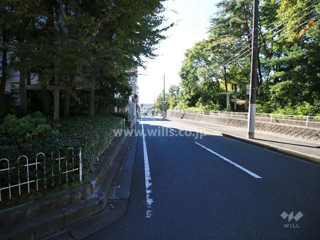 敷地西側の前面道路。バス通りです。