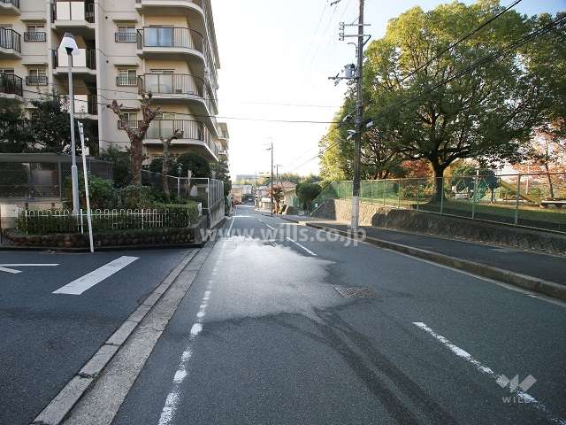 敷地西側の前面道路（北から）